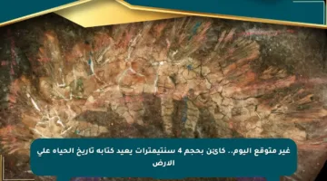 غير متوقع اليوم.. كائن بحجم 4 سنتيمترات يعيد كتابة تاريخ الحياة على الأرض